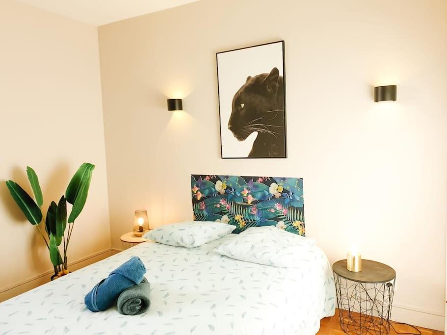 Cosy Mure 4Ch - Stationnement Gratuit Pau Zewnętrze zdjęcie